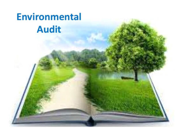 Environment auditing